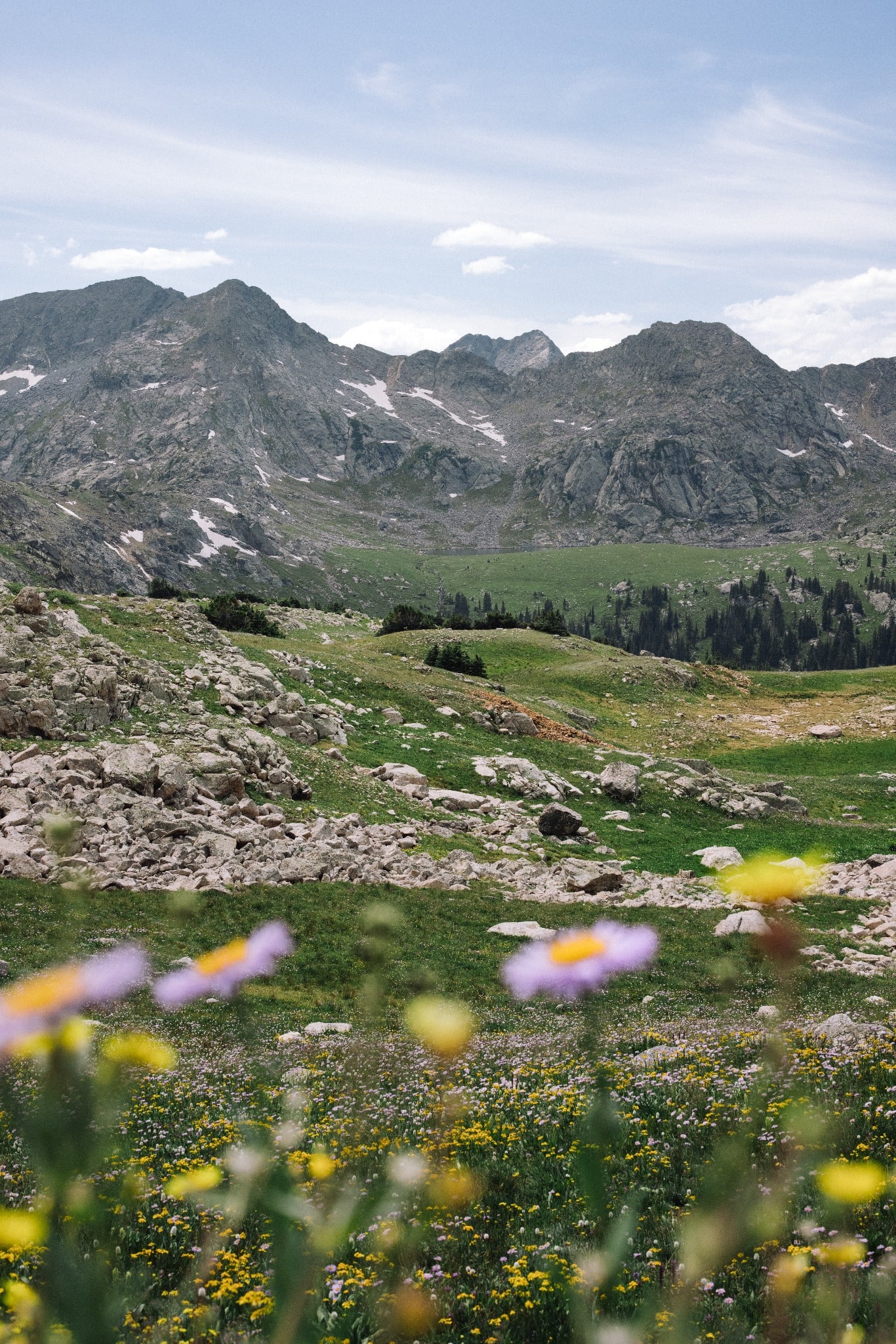 Purple and yellow wildflowers frame a high mountain basin with rocky ridges and a green meadow below.