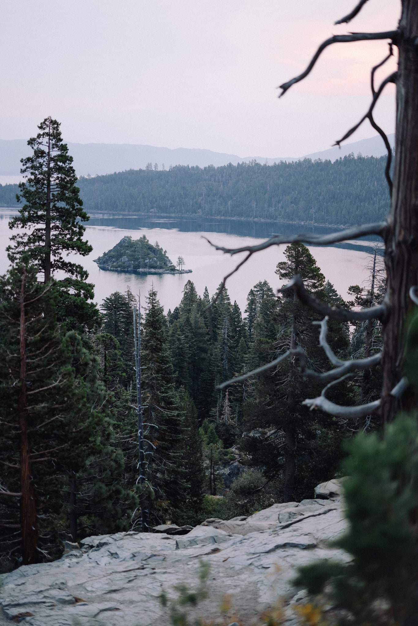 A small rocky island and calm alpine water appear through tall pines and weathered branches at dusk.
