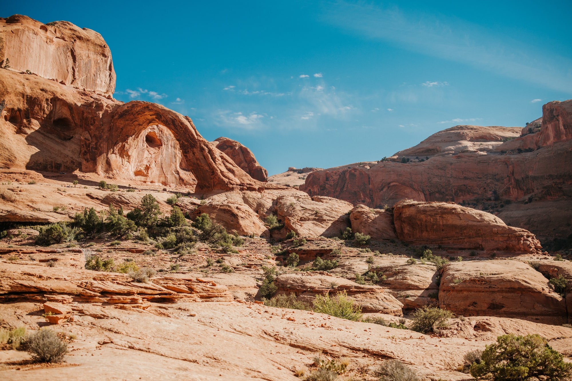 A broad red-rock desert landscape stretches beneath a vivid blue sky, with sculpted sandstone formations on the horizon.