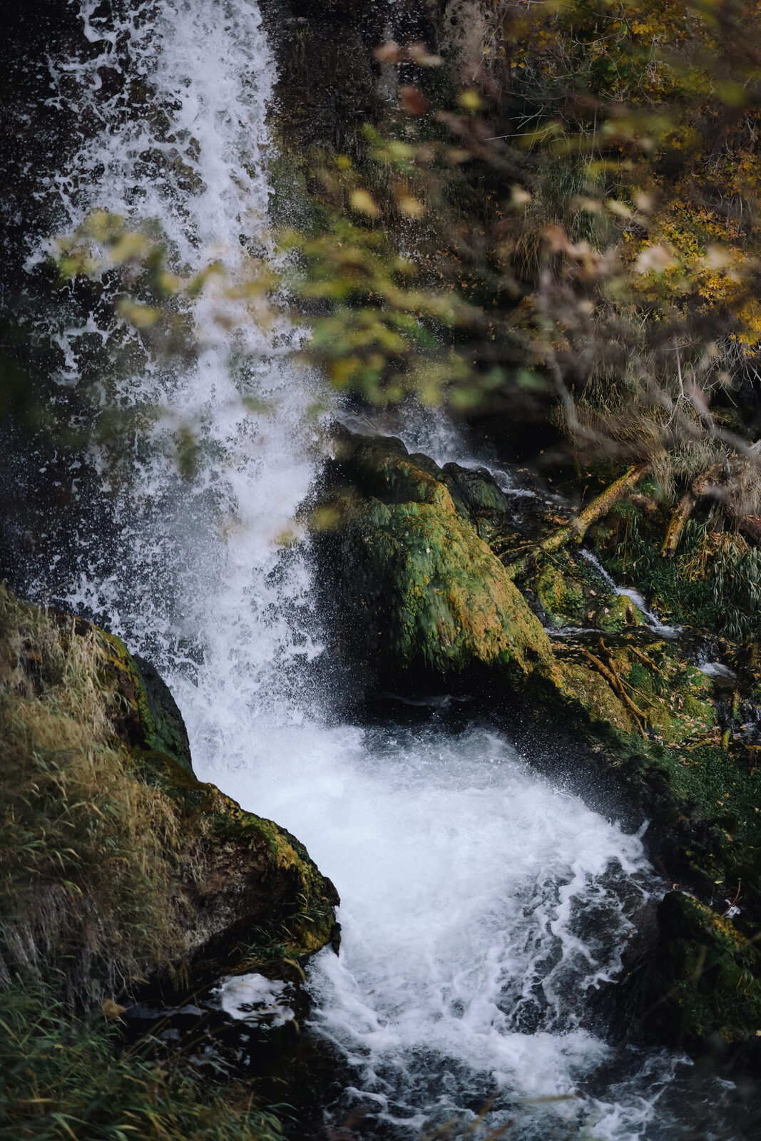 A close view of whitewater crashing into a plunge pool beside a large moss-covered boulder.