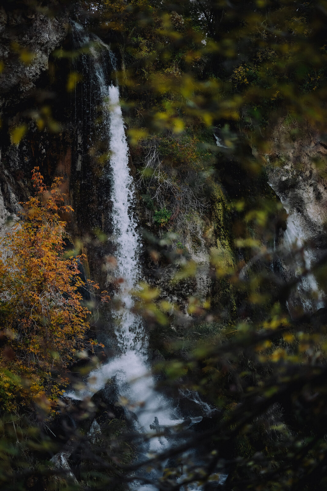 A narrow waterfall drops through a rocky, moss-covered forest gorge, framed by autumn-colored foliage in the foreground.
