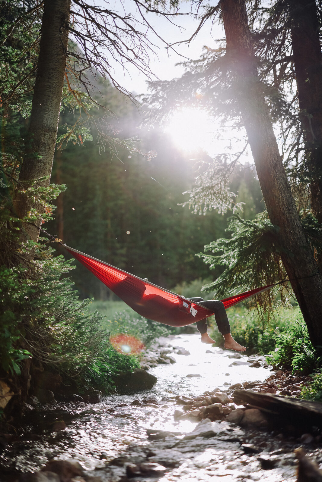 A person rests in a red camping hammock strung between pines above a small mountain stream, backlit by sunlight through the trees.
