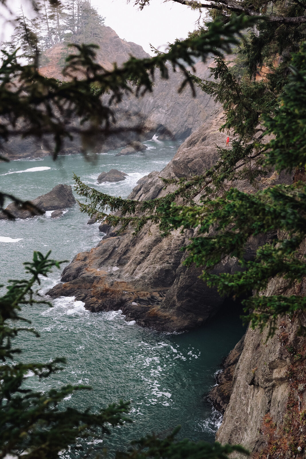 A misty rocky cove seen through a foreground pine branch, with a small figure in red standing on the cliff above the water for scale.