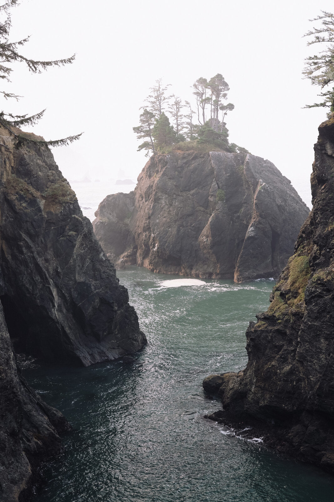 A wind-shaped rock pillar topped with trees rises from a foggy cove, teal water moving through a narrow channel below.